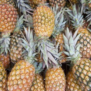 Organic Pineapples